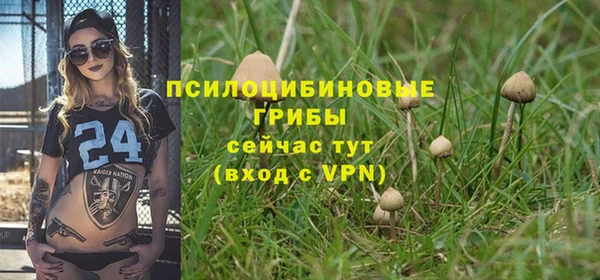 МДПВ Балахна