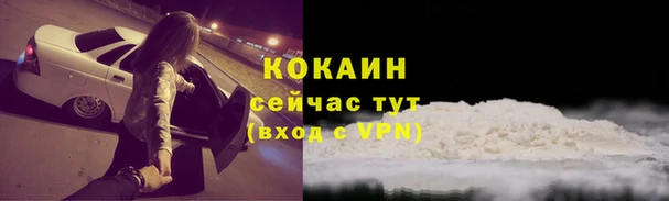 прущие грибы Баксан