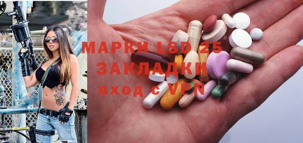 прущие грибы Баксан