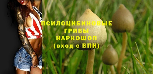 прущие грибы Баксан
