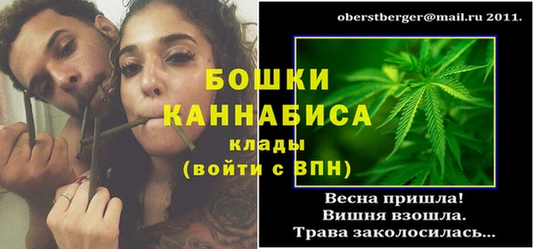 прущие грибы Баксан
