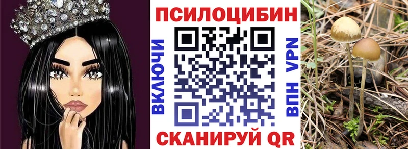 Галлюциногенные грибы Psilocybe  Горбатов 